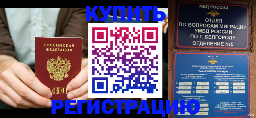 прописка 2025 в Рубцовске